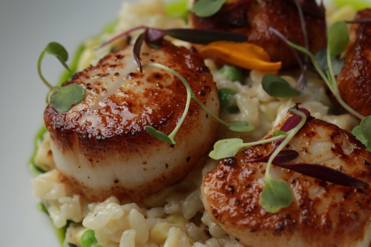 Scallops and risotto